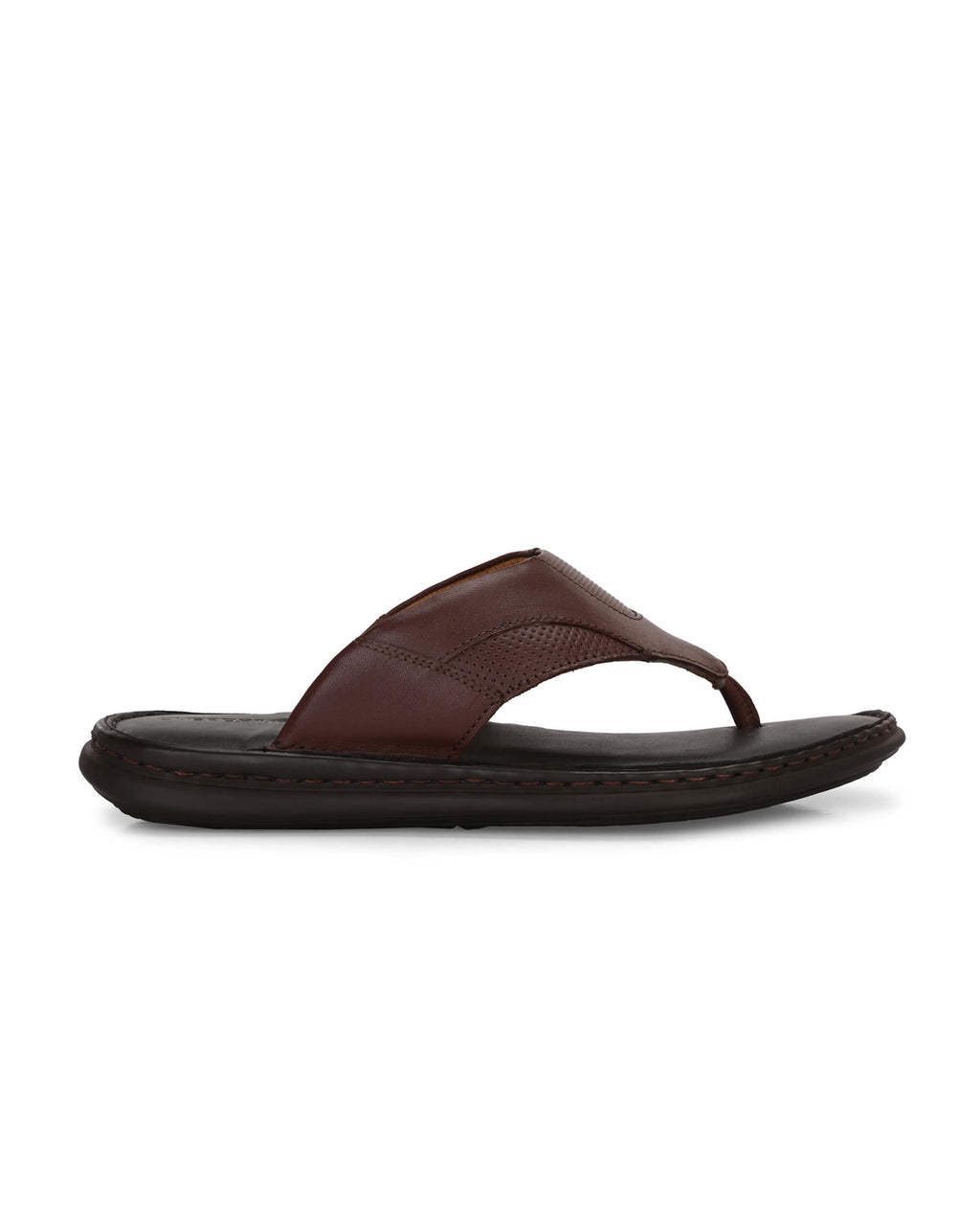 Daniel Brown Slipper